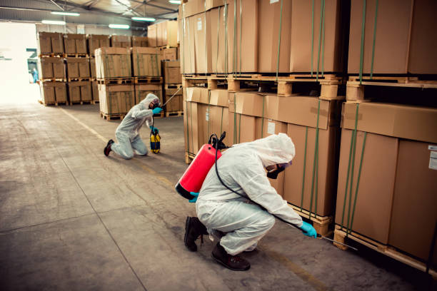 Best Pest Prevention Services  in Heyburn, ID