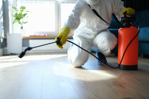 Best Affordable Pest Control Services  in Heyburn, ID