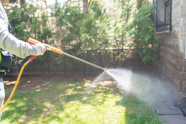 Best Local Pest Control Services  in Heyburn, ID