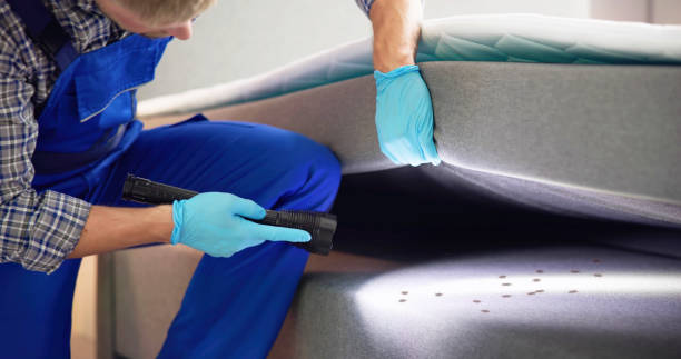 Best Pest Control Treatment  in Heyburn, ID