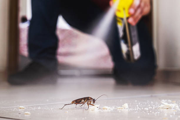 Best Pest Control Near Me in Heyburn, ID