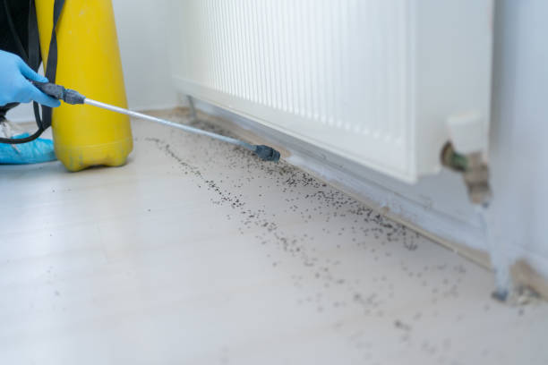 Best Residential Pest Control  in Heyburn, ID