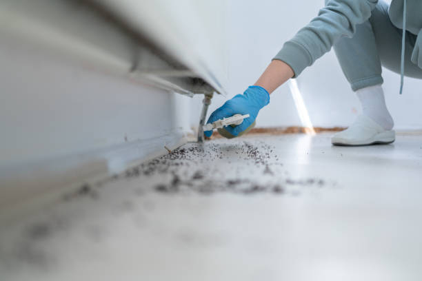 Best Rat Extermination Near Me  in Heyburn, ID