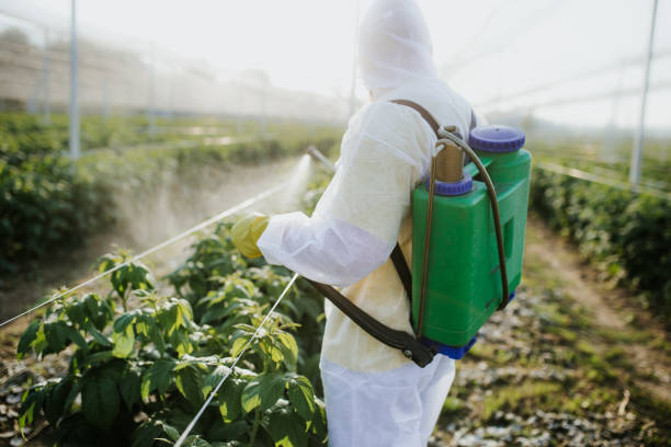 Best Pest Inspection Near Me  in Heyburn, ID